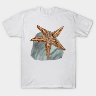 Starfish T-Shirt